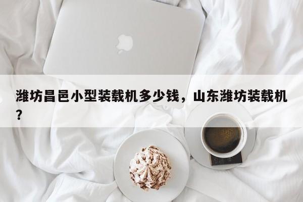 濰坊昌邑小型裝載機多少錢，山東濰坊裝載機？