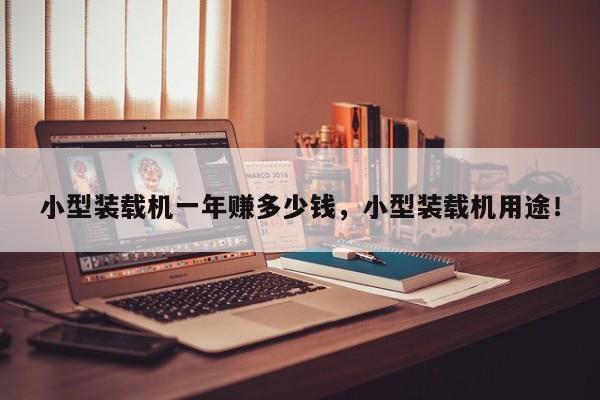 小型裝載機(jī)一年賺多少錢，小型裝載機(jī)用途！