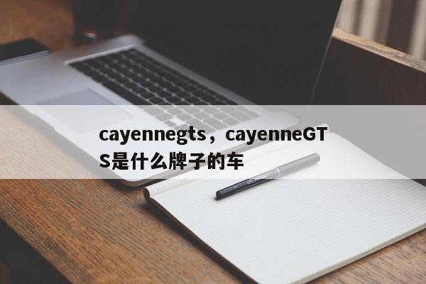 cayennegts，cayenneGTS是什么牌子的車