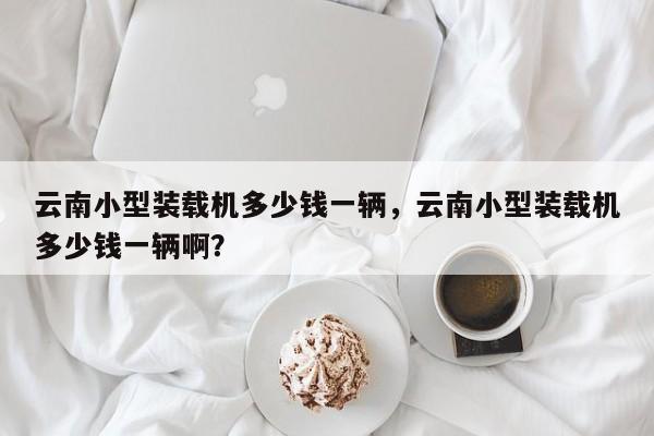 云南小型裝載機(jī)多少錢一輛，云南小型裝載機(jī)多少錢一輛啊？