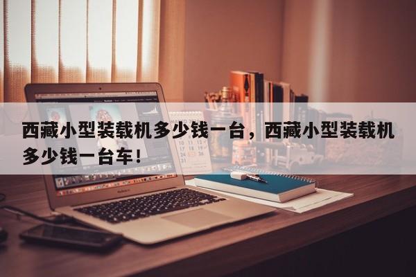 西藏小型裝載機多少錢一臺，西藏小型裝載機多少錢一臺車！
