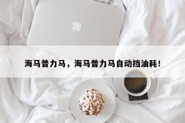 海馬普力馬，海馬普力馬自動擋油耗！