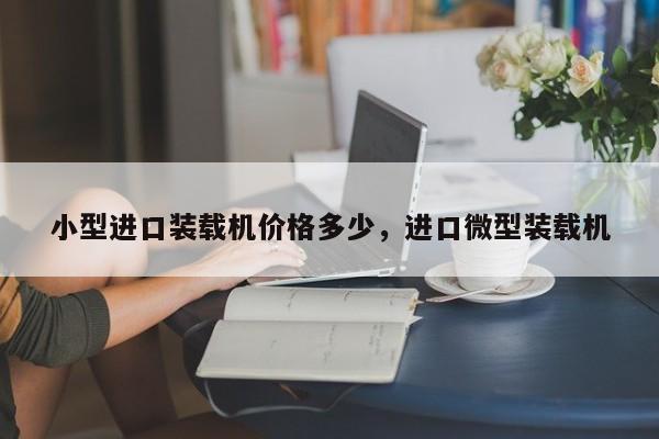 小型進(jìn)口裝載機(jī)價格多少，進(jìn)口微型裝載機(jī)