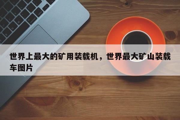 世界上最大的礦用裝載機(jī)，世界最大礦山裝載車圖片