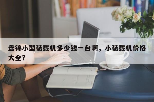 盤錦小型裝載機多少錢一臺啊，小裝載機價格大全？