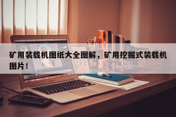 礦用裝載機(jī)圖紙大全圖解，礦用挖掘式裝載機(jī)圖片！