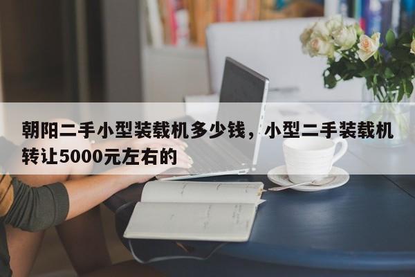 朝陽二手小型裝載機(jī)多少錢，小型二手裝載機(jī)轉(zhuǎn)讓5000元左右的
