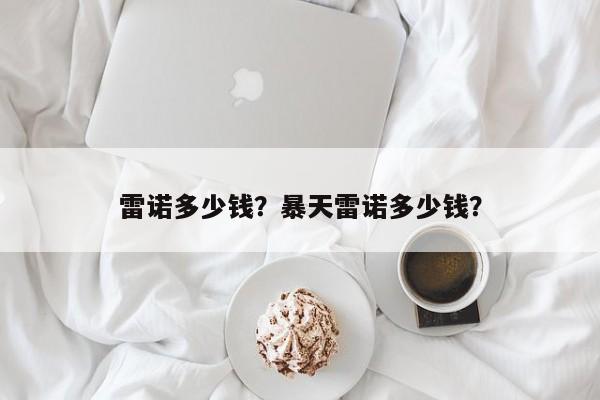 雷諾多少錢？暴天雷諾多少錢？
