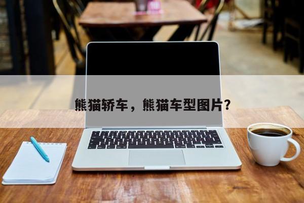 熊貓轎車(chē)，熊貓車(chē)型圖片？