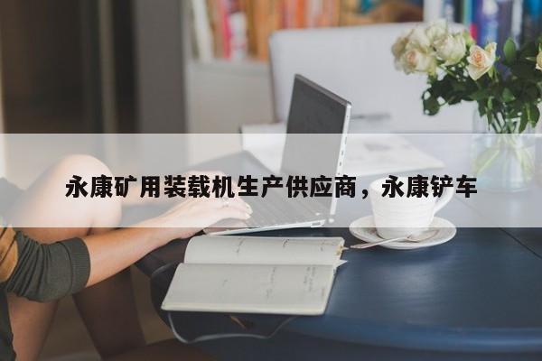 永康礦用裝載機生產(chǎn)供應(yīng)商，永康鏟車