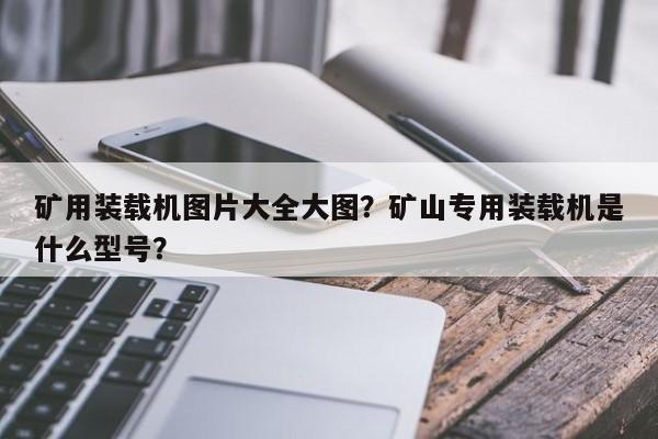 礦用裝載機圖片大全大圖？礦山專用裝載機是什么型號？