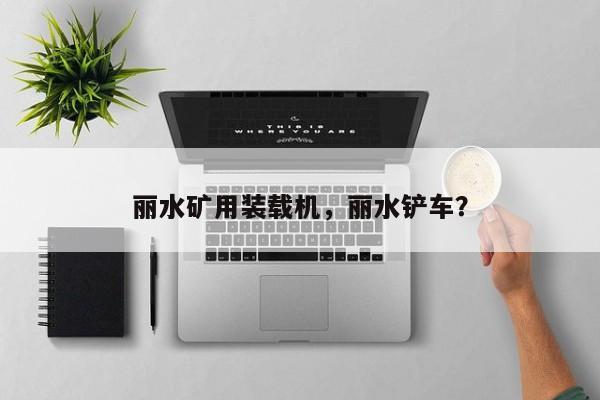 麗水礦用裝載機(jī)，麗水鏟車？