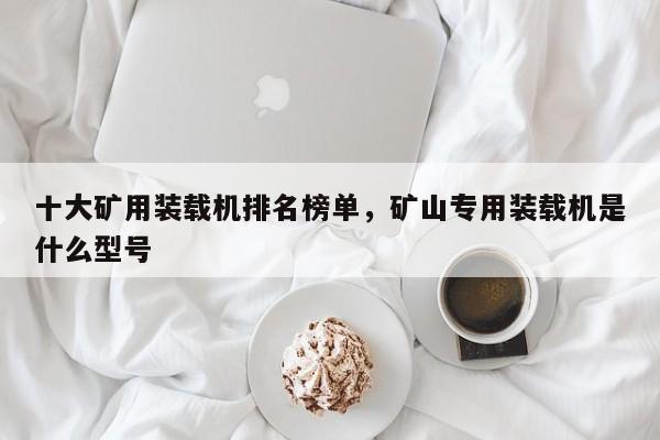 十大礦用裝載機(jī)排名榜單，礦山專用裝載機(jī)是什么型號(hào)