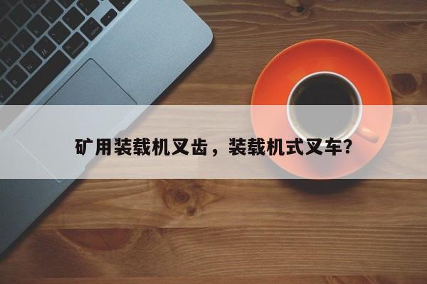礦用裝載機叉齒，裝載機式叉車？