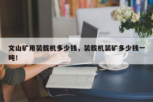文山礦用裝載機(jī)多少錢，裝載機(jī)裝礦多少錢一噸！
