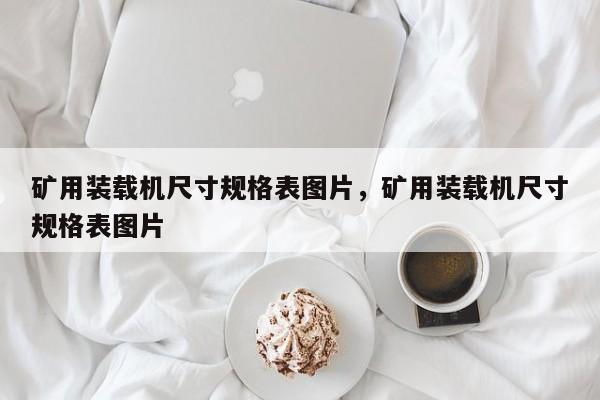 礦用裝載機尺寸規(guī)格表圖片，礦用裝載機尺寸規(guī)格表圖片