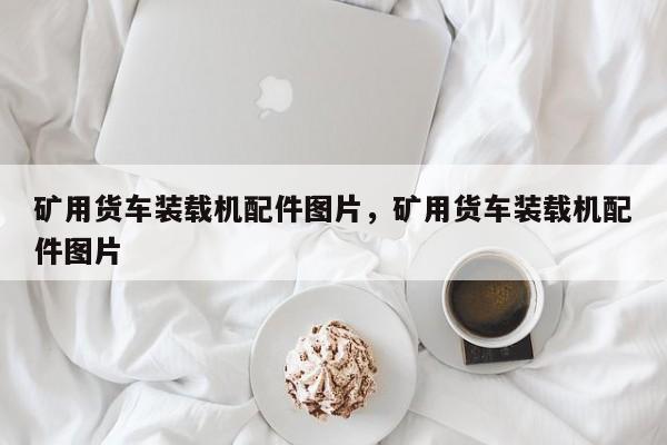 礦用貨車裝載機配件圖片，礦用貨車裝載機配件圖片