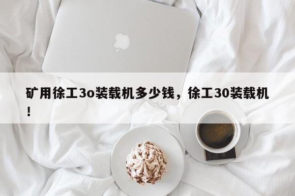 礦用徐工3o裝載機(jī)多少錢，徐工30裝載機(jī)！