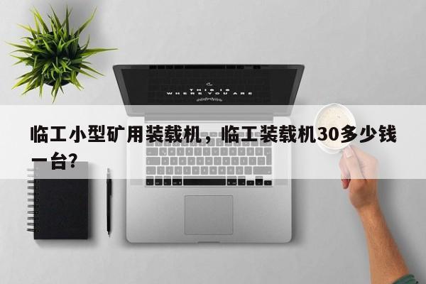 臨工小型礦用裝載機，臨工裝載機30多少錢一臺？