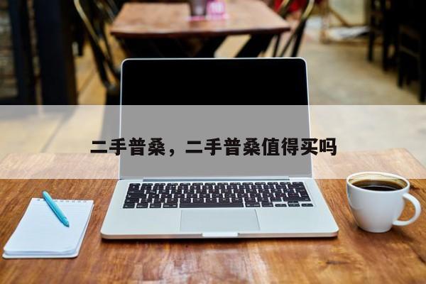二手普桑，二手普桑值得買嗎