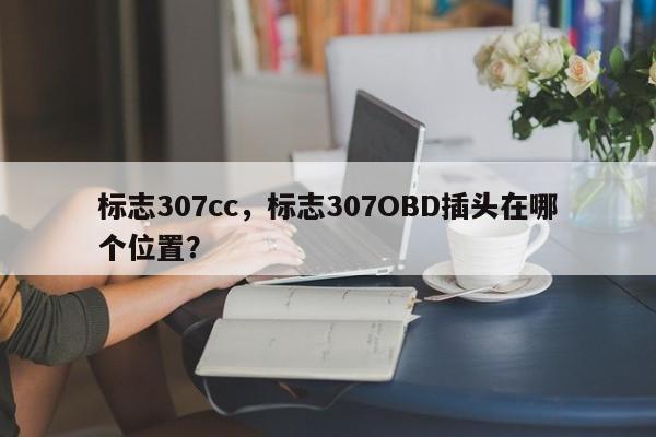 標(biāo)志307cc，標(biāo)志307OBD插頭在哪個位置？