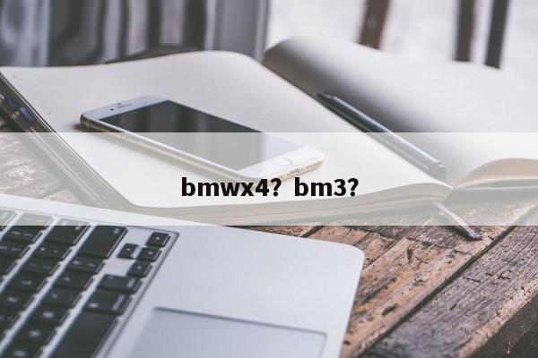 bmwx4？bm3？