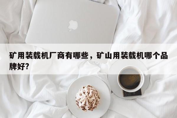 礦用裝載機(jī)廠商有哪些，礦山用裝載機(jī)哪個品牌好?