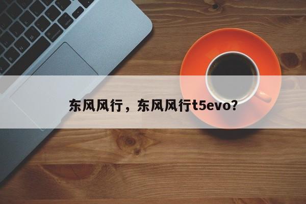 東風風行，東風風行t5evo？